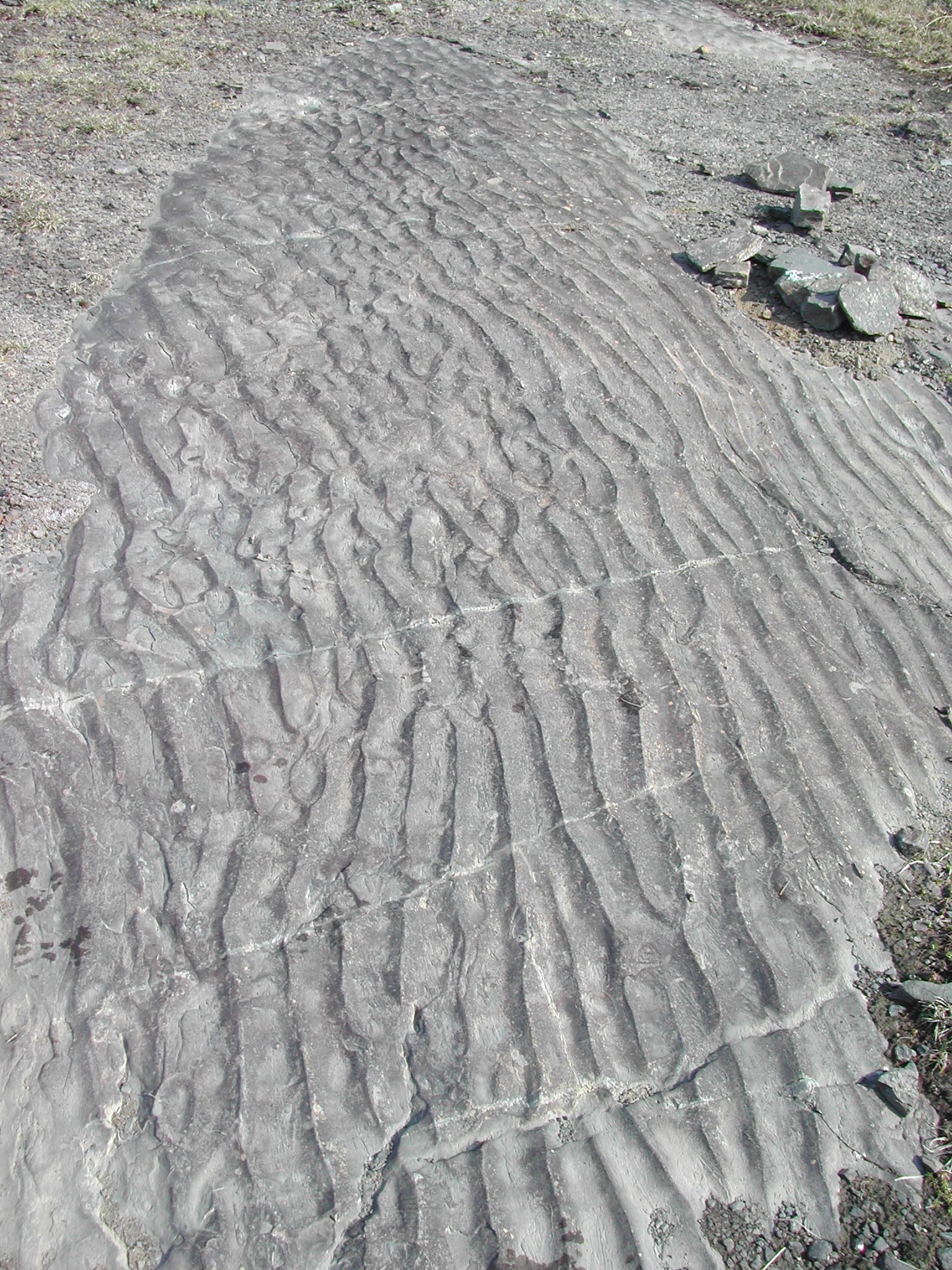 Ripple Marks Geology – Features from the field: Ripple Marks – FBRYU